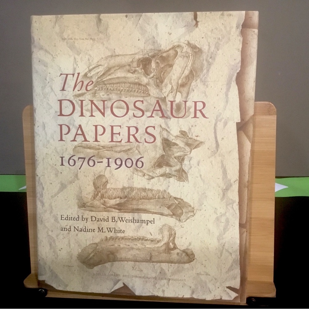 The Dinosaur Paper hardback book 1676-1906